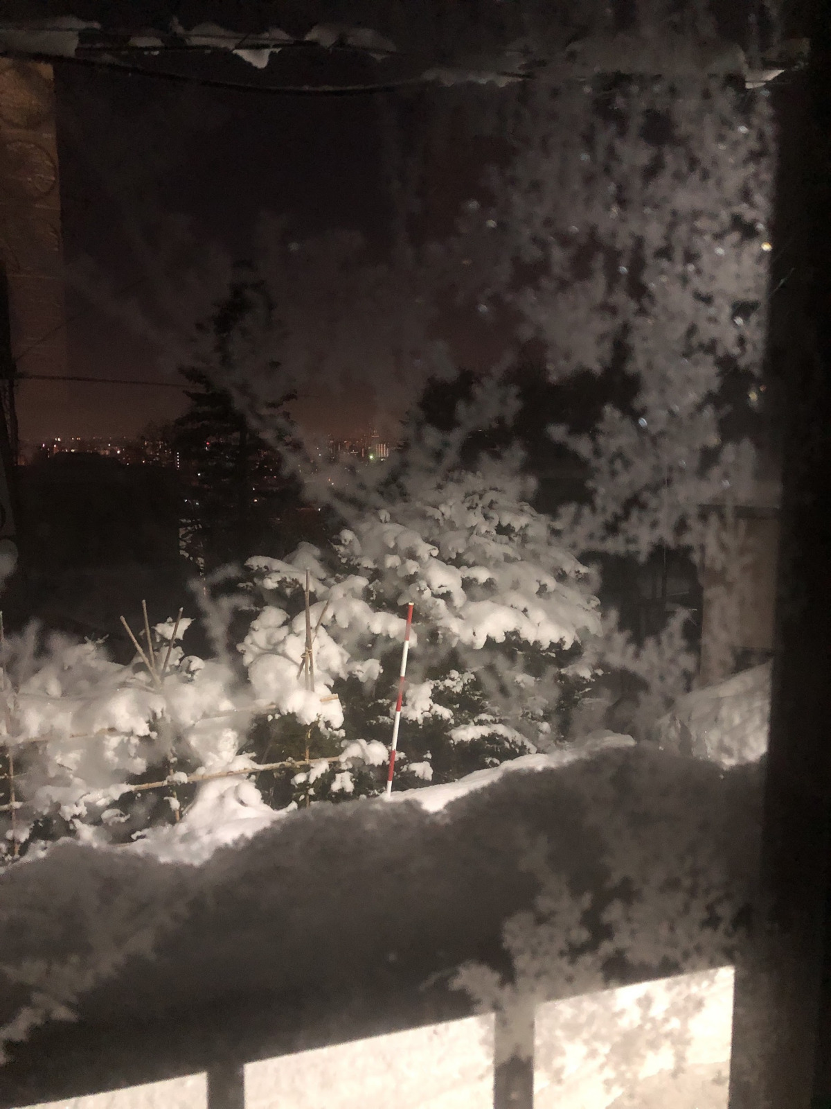 北海道の四季　冬氷点下の芸術「凍りの華」
